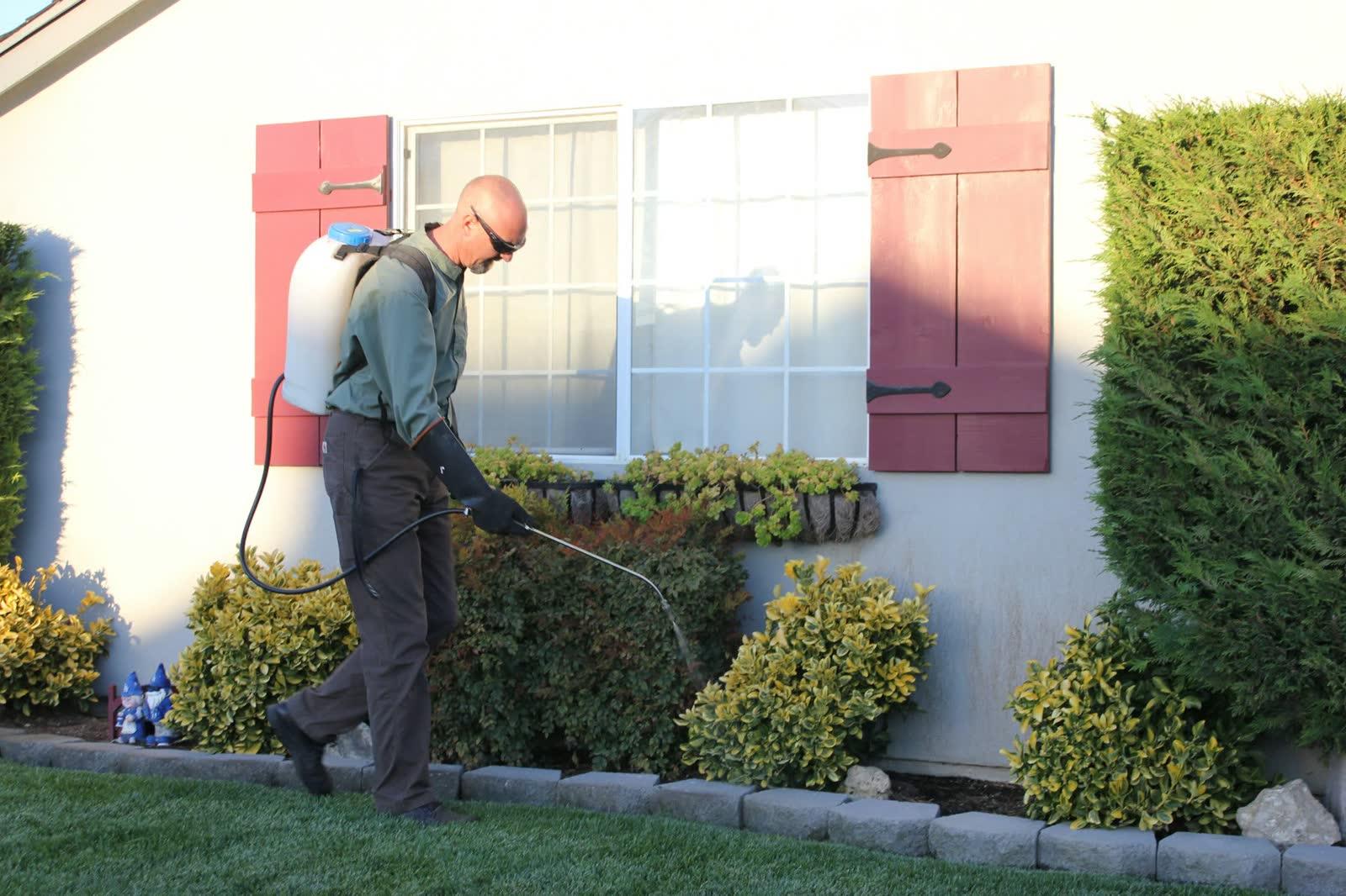 Pest control technician spraying around the outside of a house
