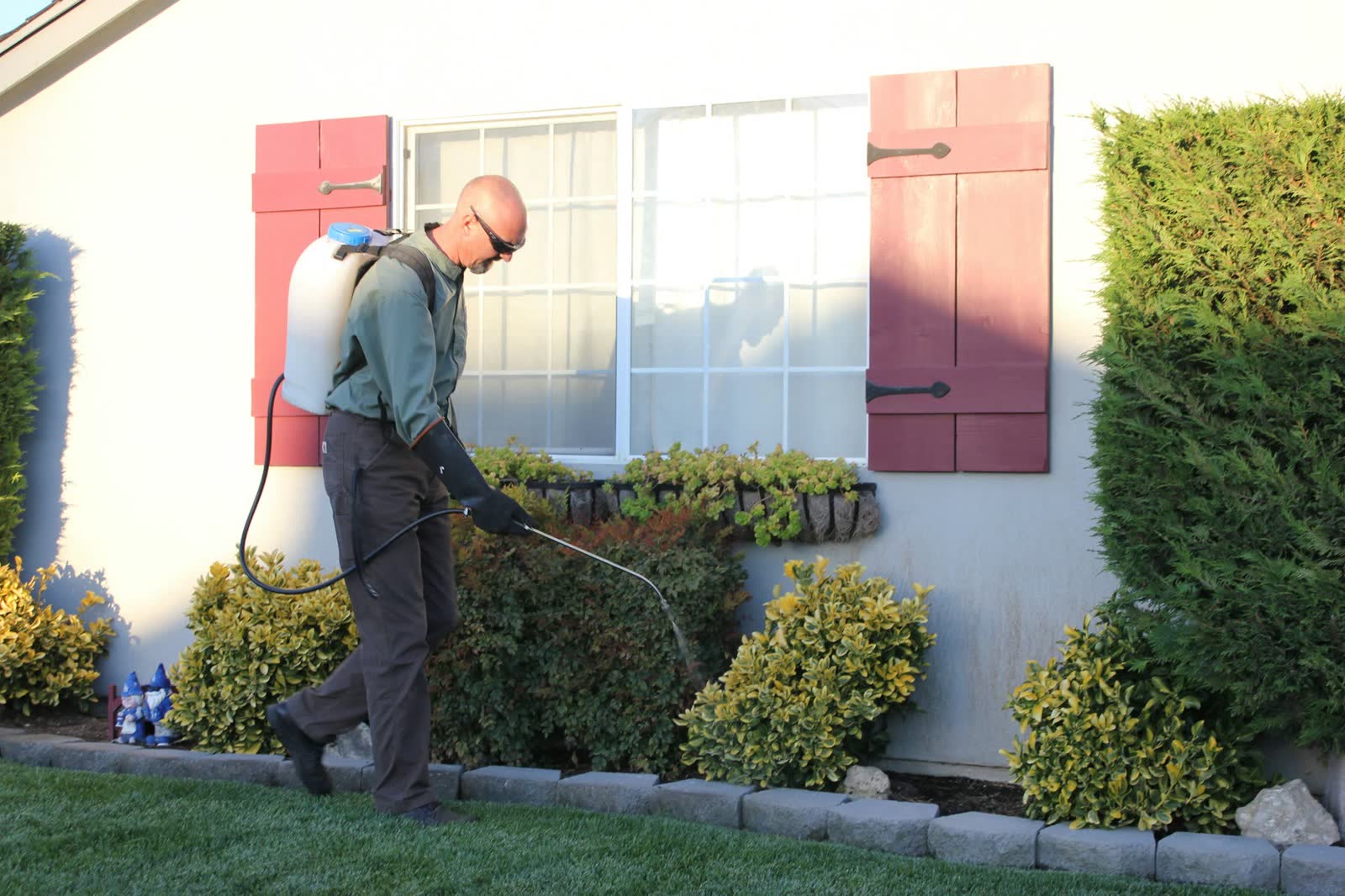 Pest control: a technician at a home